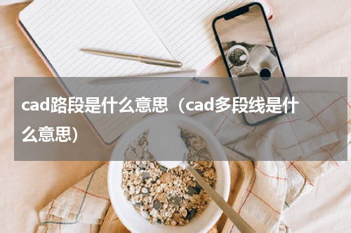 cad路段是什么意思（cad多段线是什么意思）