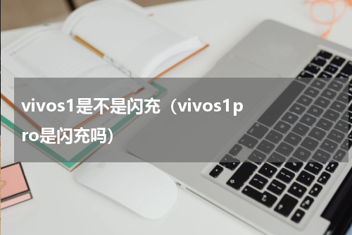 vivos1是不是闪充（vivos1pro是闪充吗）