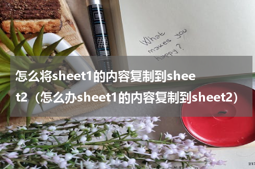 怎么将sheet1的内容复制到sheet2（怎么办sheet1的内容复制到sheet2）