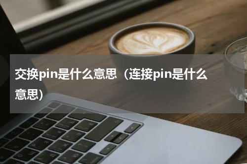 交换pin是什么意思（连接pin是什么意思）