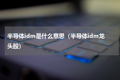 半导体idm是什么意思（半导体idm龙头股）