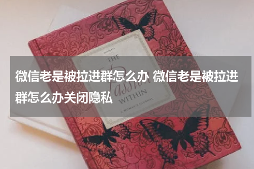 微信老是被拉进群怎么办 微信老是被拉进群怎么办关闭隐私