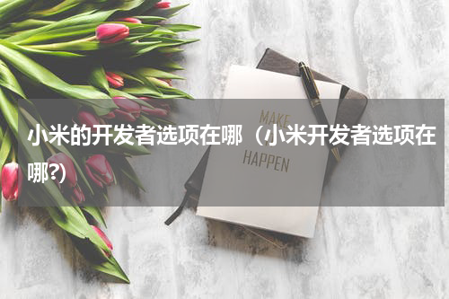 小米的开发者选项在哪（小米开发者选项在哪?）