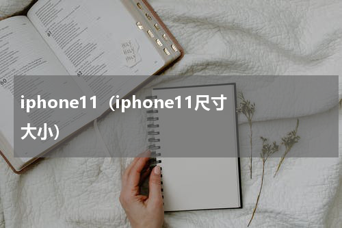 iphone11（iphone11尺寸大小）