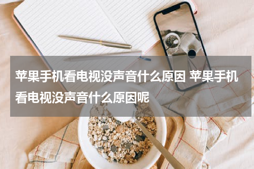 苹果手机看电视没声音什么原因 苹果手机看电视没声音什么原因呢