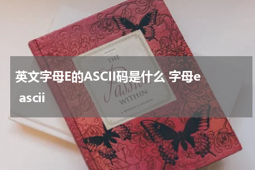 英文字母E的ASCII码是什么 字母e ascii