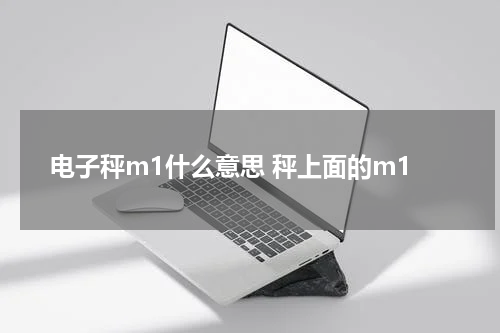 电子秤m1什么意思 秤上面的m1