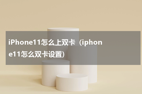 iPhone11怎么上双卡（iphone11怎么双卡设置）