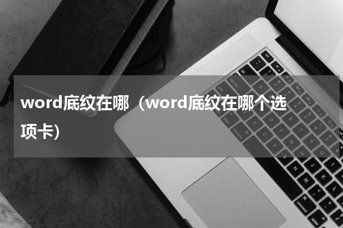 word底纹在哪（word底纹在哪个选项卡）