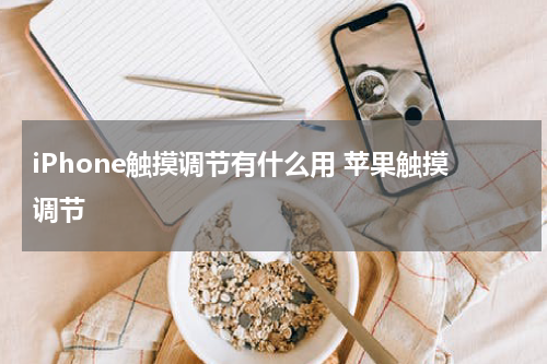 iPhone触摸调节有什么用 苹果触摸调节