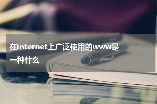 在internet上广泛使用的www是一种什么