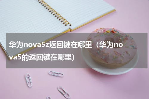华为nova5z返回键在哪里（华为nova5的返回键在哪里）