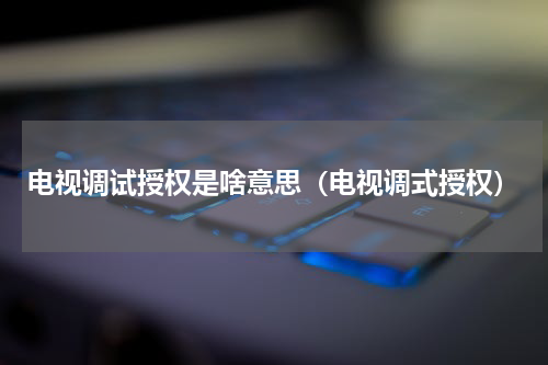 电视调试授权是啥意思（电视调式授权）