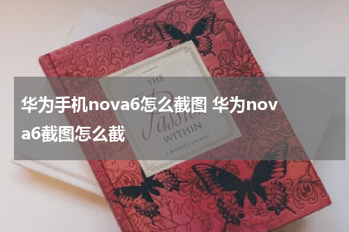华为手机nova6怎么截图 华为nova6截图怎么截