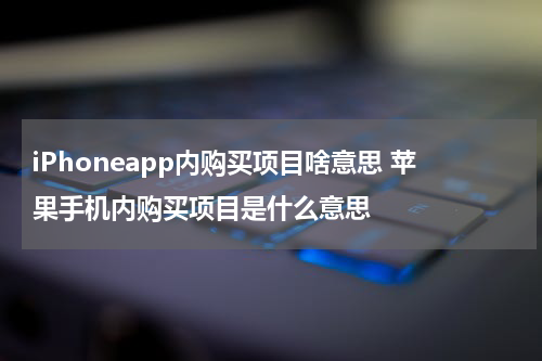 iPhoneapp内购买项目啥意思 苹果手机内购买项目是什么意思