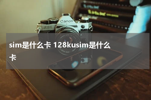 sim是什么卡 128kusim是什么卡