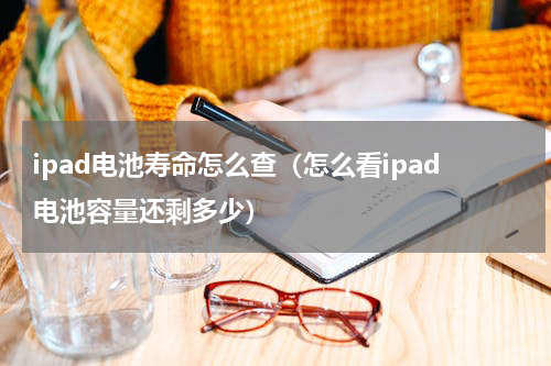 ipad电池寿命怎么查（怎么看ipad电池容量还剩多少）