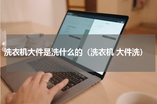 洗衣机大件是洗什么的（洗衣机 大件洗）