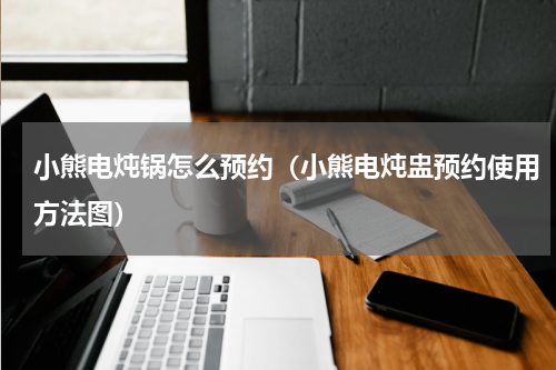 小熊电炖锅怎么预约（小熊电炖盅预约使用方法图）