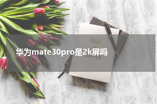 华为mate30pro是2k屏吗