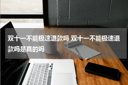 双十一不能极速退款吗 双十一不能极速退款吗是真的吗