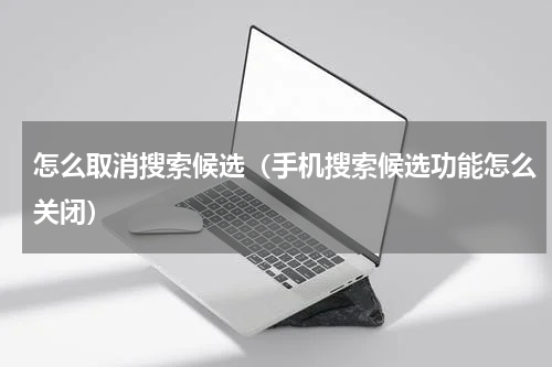 怎么取消搜索候选（手机搜索候选功能怎么关闭）