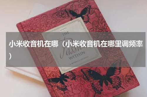 小米收音机在哪（小米收音机在哪里调频率）