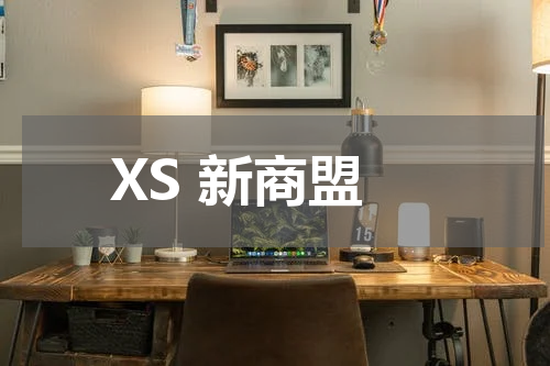 XS 新商盟