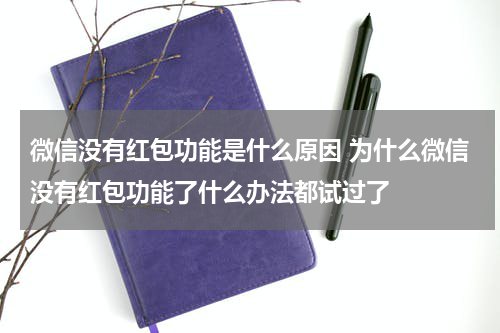 微信没有红包功能是什么原因 为什么微信没有红包功能了什么办法都试过了