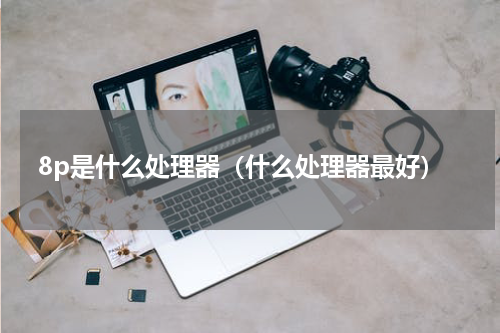 8p是什么处理器（什么处理器最好）