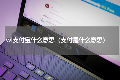 wl支付宝什么意思（支付是什么意思）
