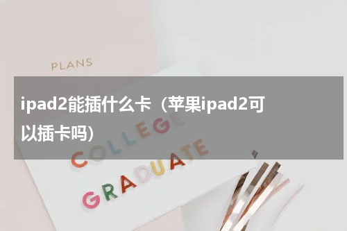 ipad2能插什么卡（苹果ipad2可以插卡吗）