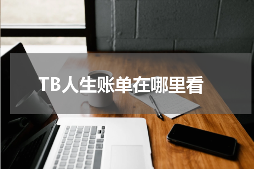 TB人生账单在哪里看