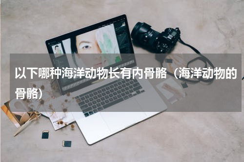 以下哪种海洋动物长有内骨骼（海洋动物的骨骼）
