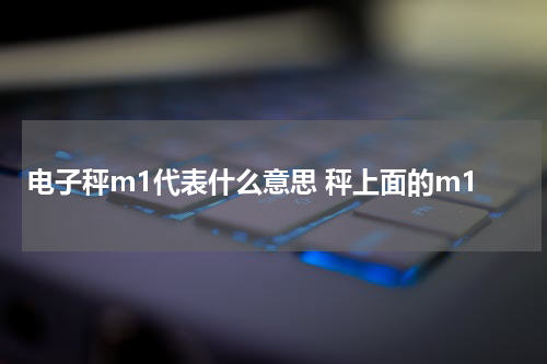电子秤m1代表什么意思 秤上面的m1
