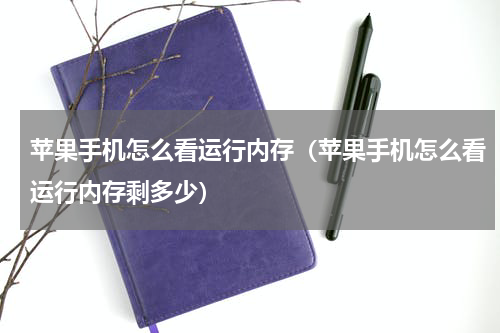 苹果手机怎么看运行内存（苹果手机怎么看运行内存剩多少）