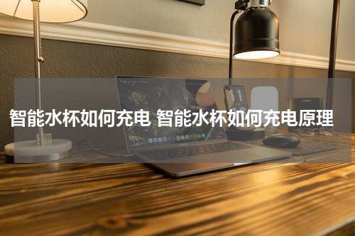 智能水杯如何充电 智能水杯如何充电原理