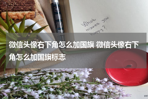 微信头像右下角怎么加国旗 微信头像右下角怎么加国旗标志