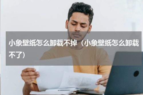 小象壁纸怎么卸载不掉（小象壁纸怎么卸载不了）