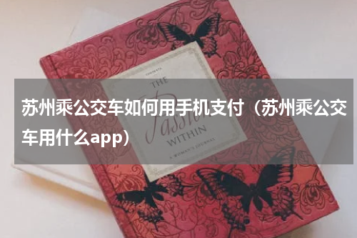 苏州乘公交车如何用手机支付（苏州乘公交车用什么app）