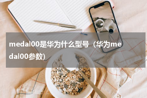 medal00是华为什么型号（华为medal00参数）