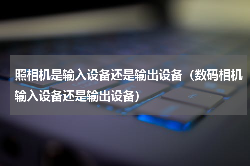 照相机是输入设备还是输出设备（数码相机输入设备还是输出设备）