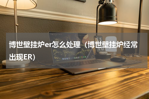 博世壁挂炉er怎么处理（博世壁挂炉经常出现ER）