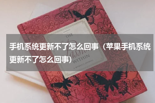 手机系统更新不了怎么回事（苹果手机系统更新不了怎么回事）