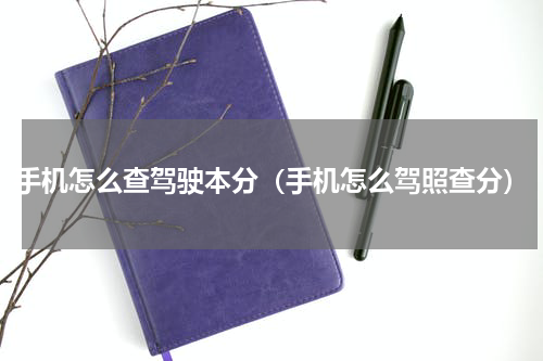 手机怎么查驾驶本分（手机怎么驾照查分）