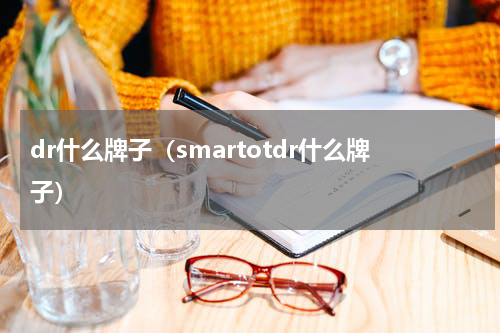 dr什么牌子（smartotdr什么牌子）
