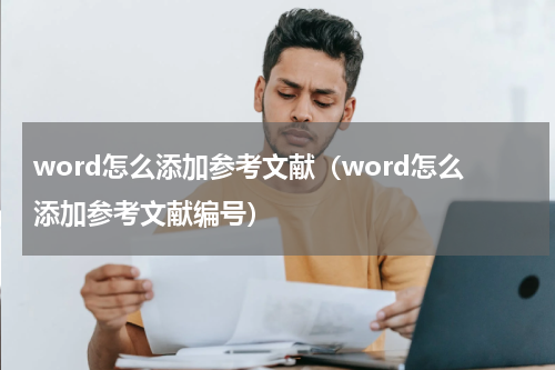 word怎么添加参考文献（word怎么添加参考文献编号）