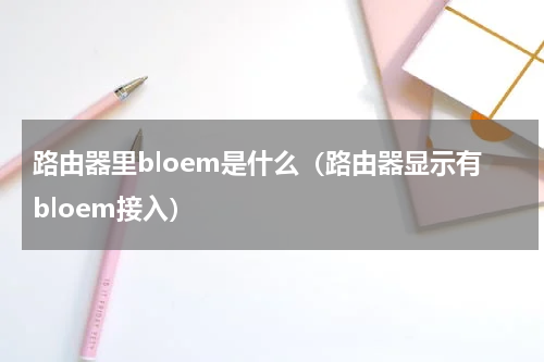 路由器里bloem是什么（路由器显示有bloem接入）