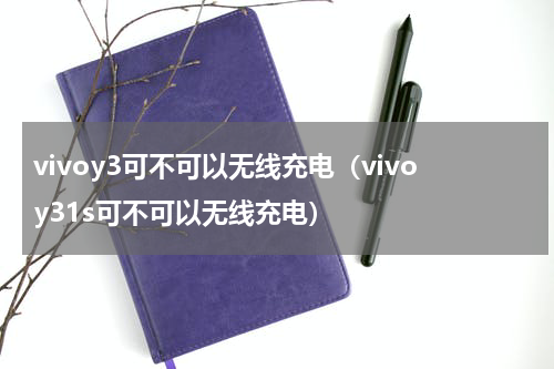 vivoy3可不可以无线充电（vivoy31s可不可以无线充电）