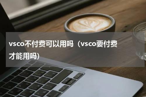 vsco不付费可以用吗（vsco要付费才能用吗）
